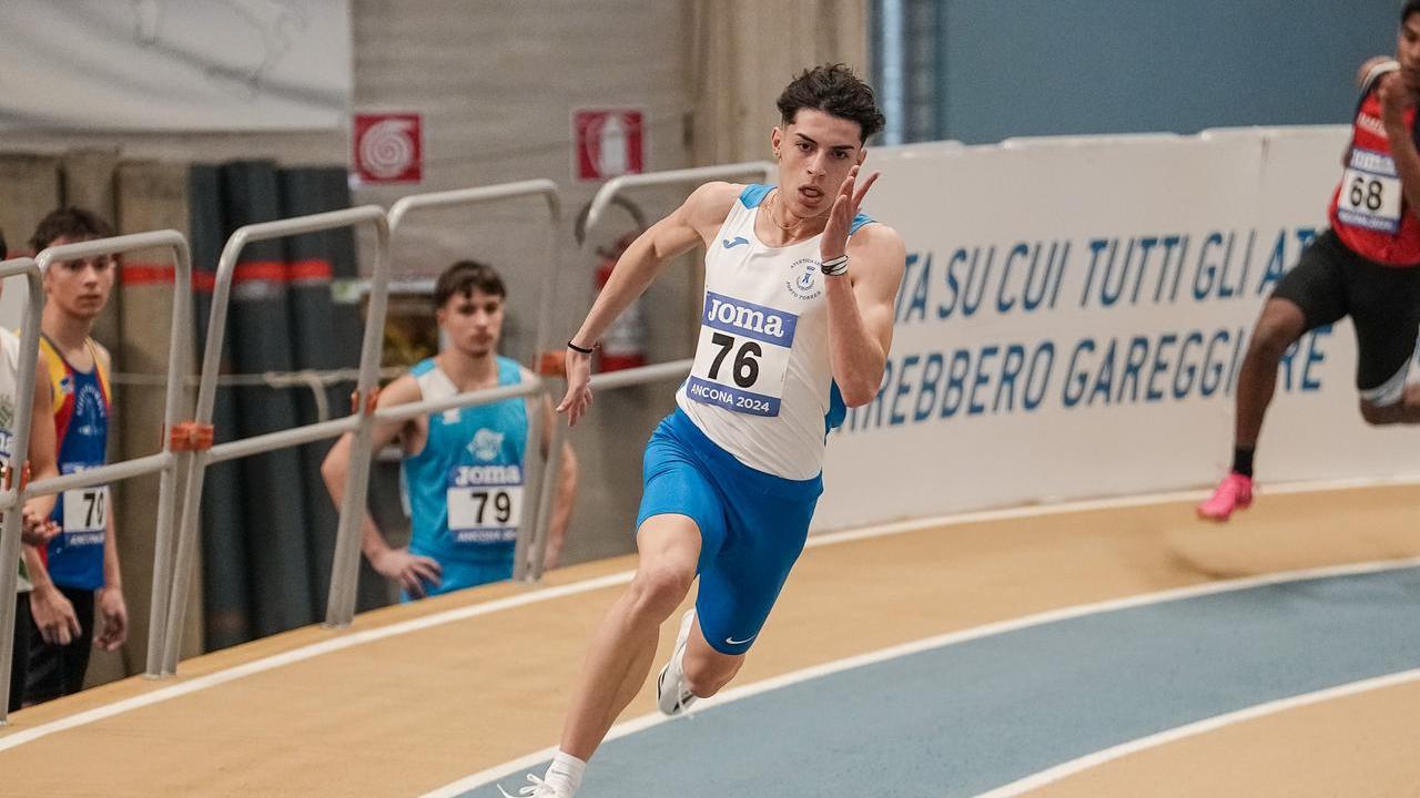 <strong>Diego Nappi</strong>