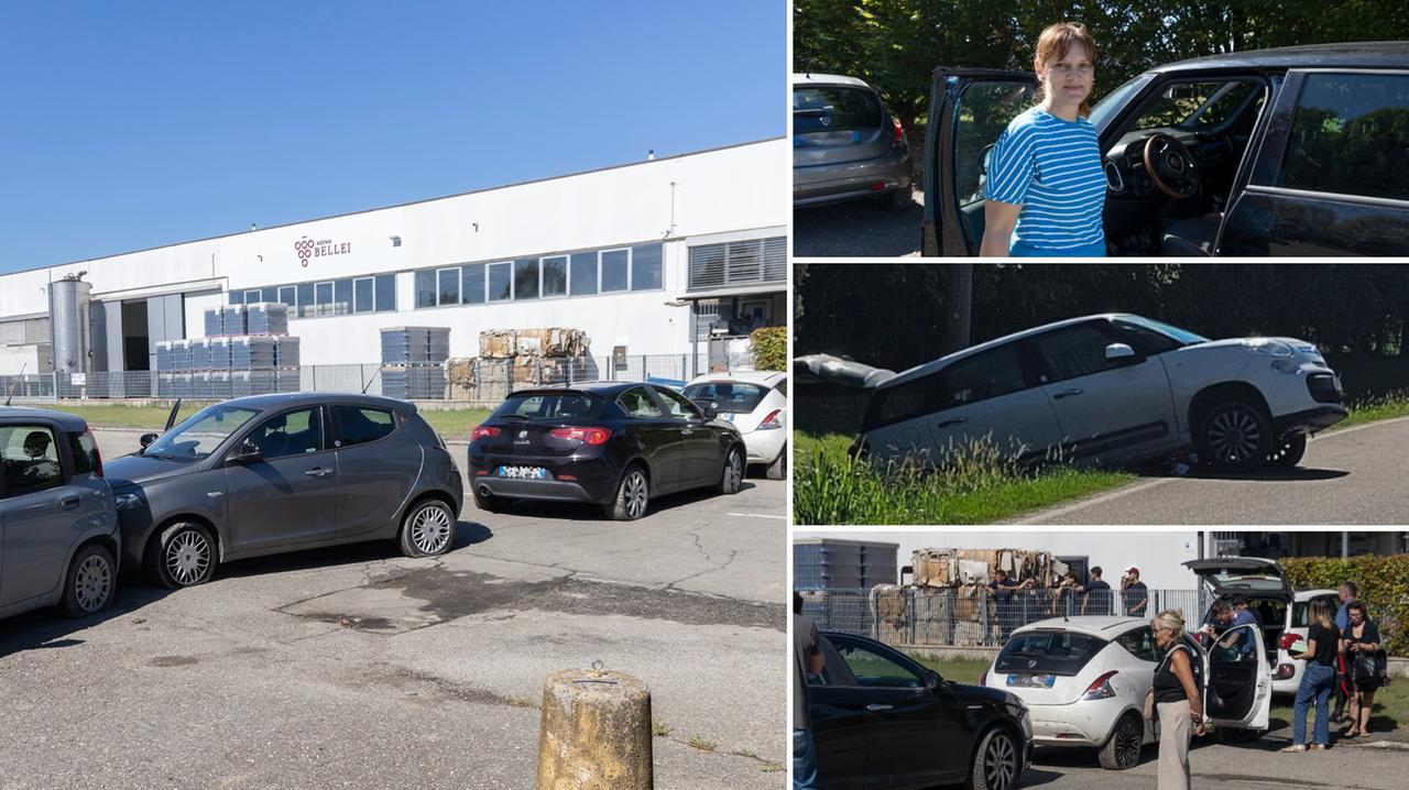 
	Le 15 auto rubate, anche alla sindaca Meschiari

