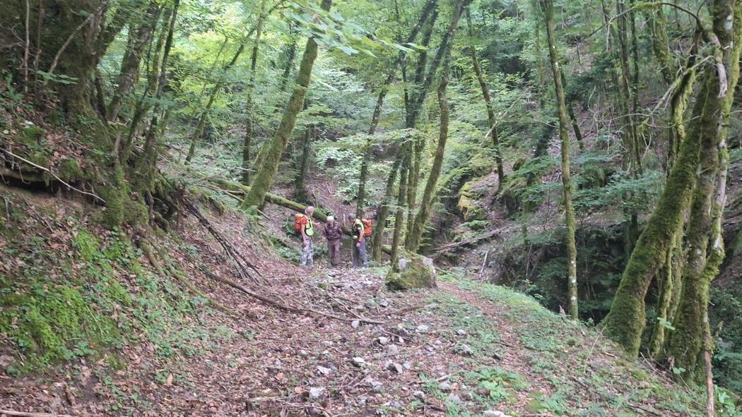 Molazzana, ritrovato il pensionato disperso nei boschi