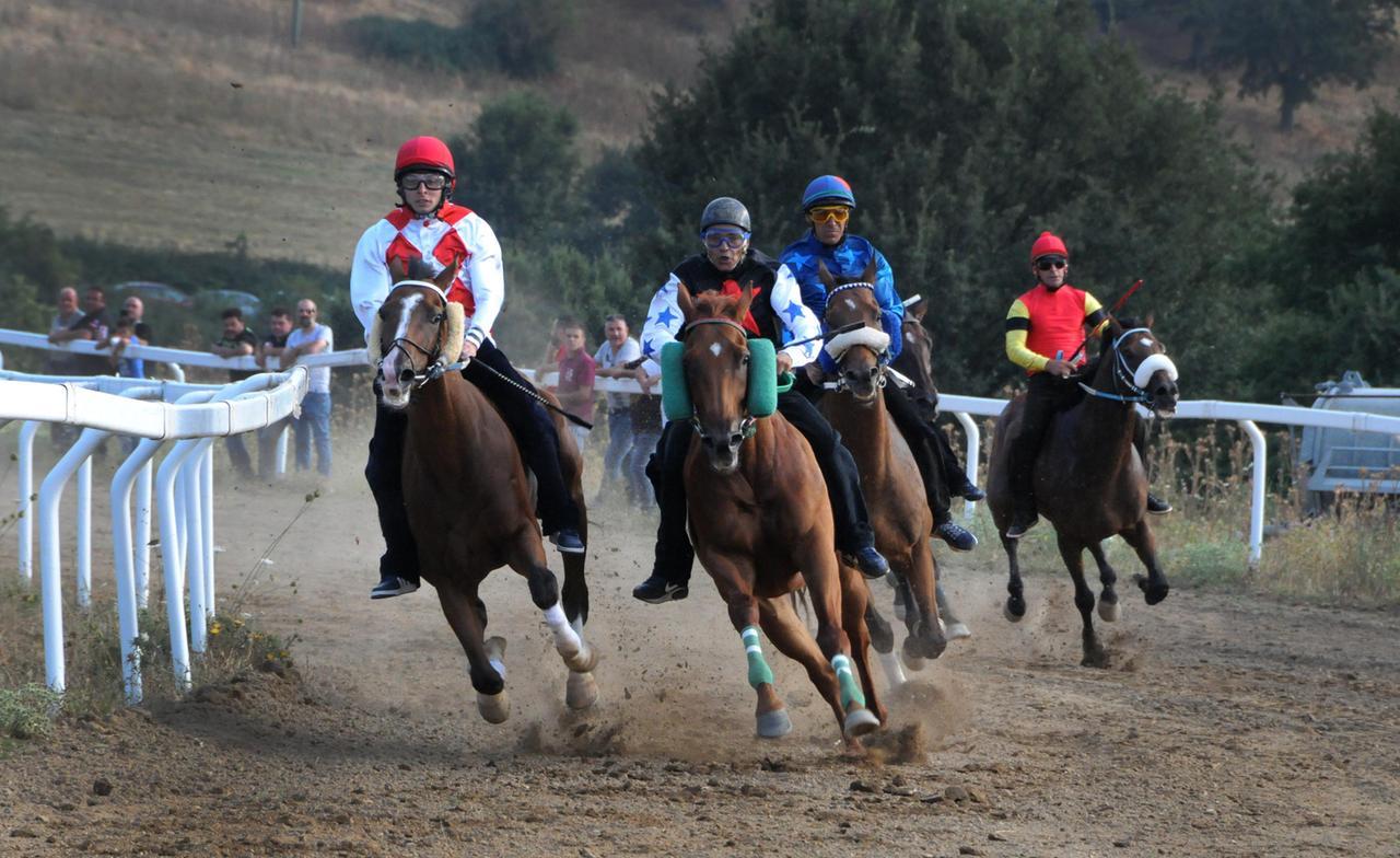 Palio di Fonni, tutto pronto: ospiti d’onore Aceto e Legno
