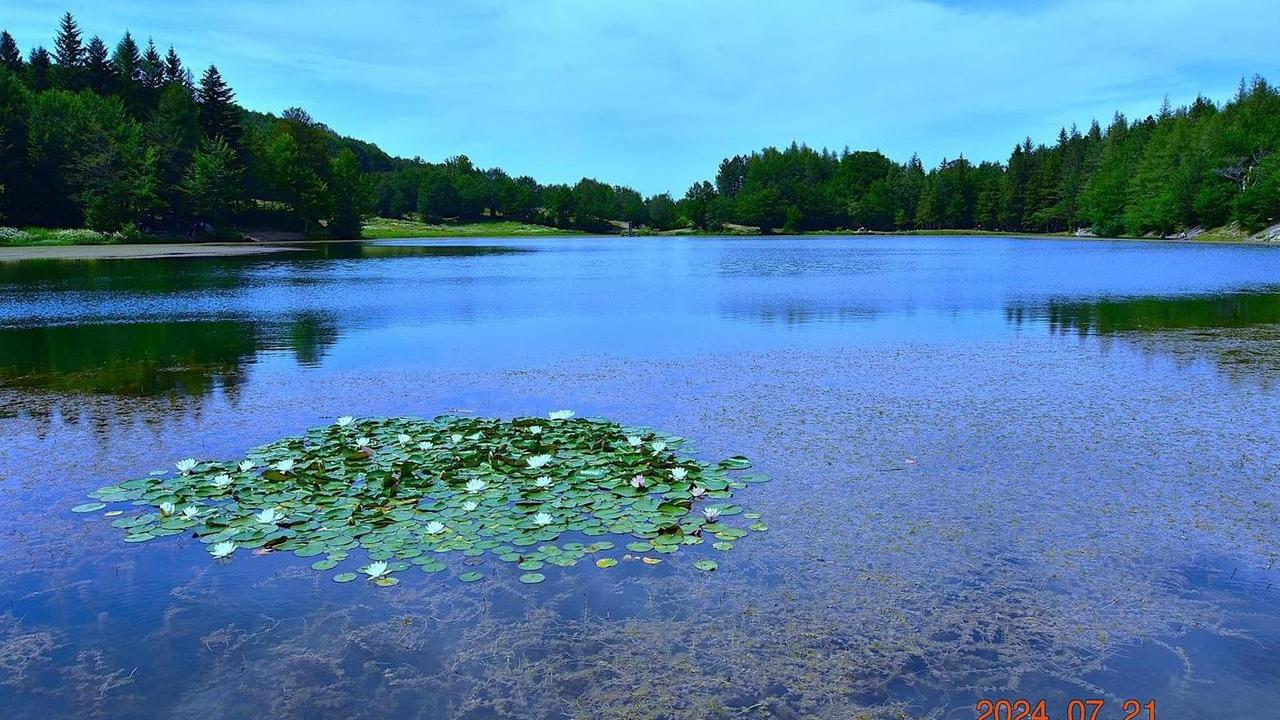 Alla scoperta del Lago Calamone: uno dei luoghi prediletti del nostro Appennino