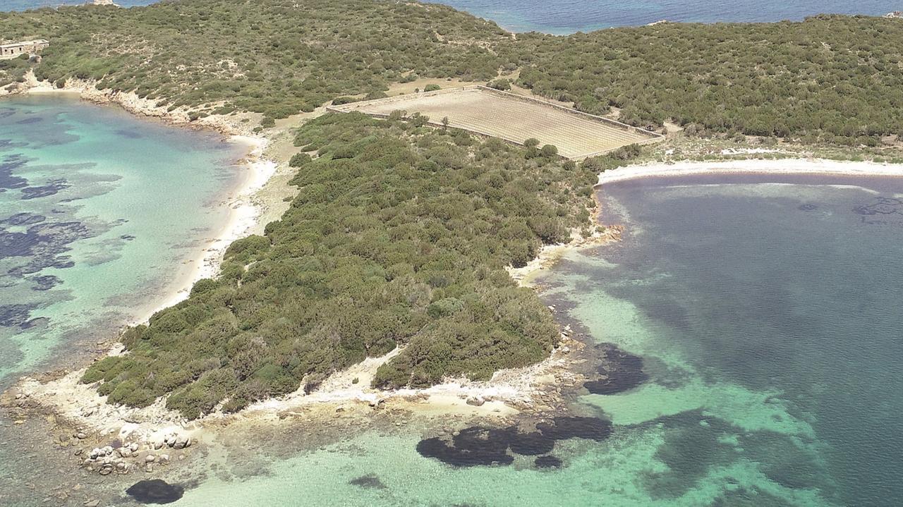 L’isola di Culuccia: santuario naturale sospeso nel tempo