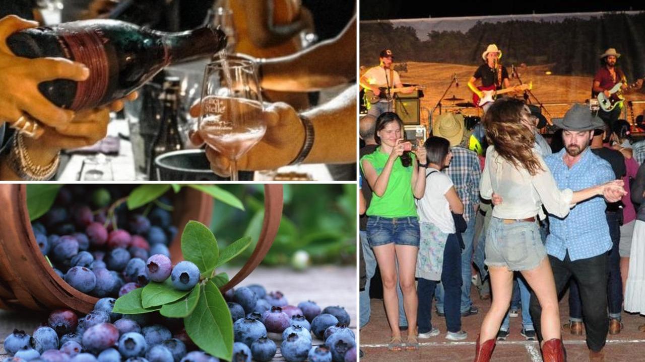 Da “Calici di stelle” a Festa del Mirtillo e Country festival: 10 idee per il weekend