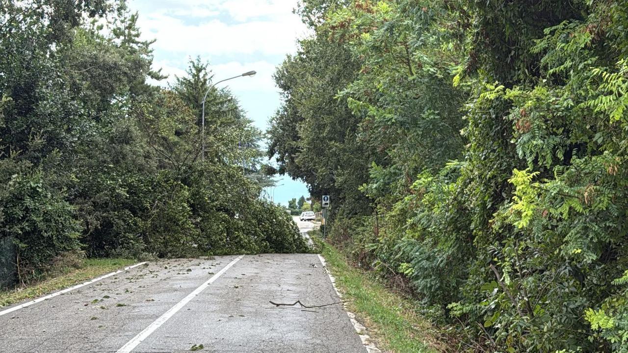 Maltempo, allerta gialla per temporali. Disagi nel Comune di Fiscaglia