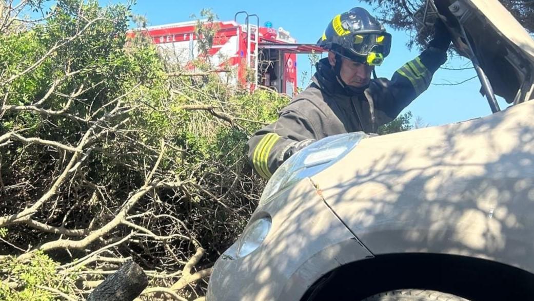 Stintino, auto incastrata dopo l’incidente: i vigili del fuoco con le motoseghe per liberare i due occupanti