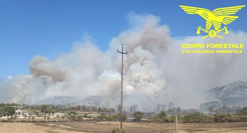 In Sardegna 20 incendi in un giorno: in fumo oltre 150 ettari