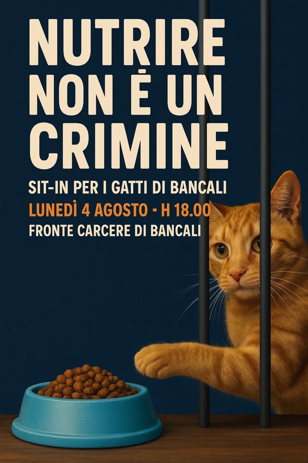 Sit-in davanti al carcere di Bancali per difendere le colonie feline