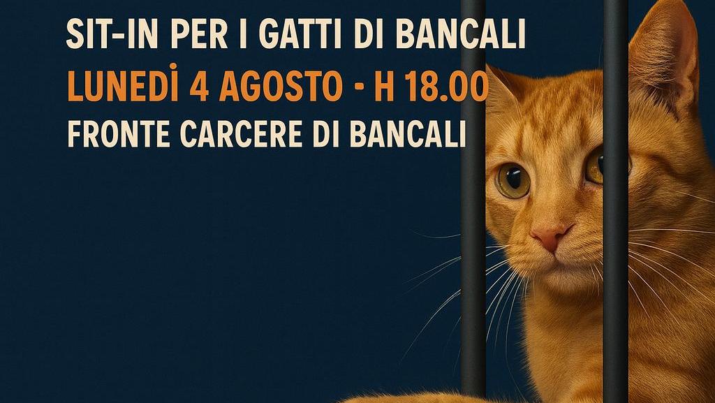Sit-in davanti al carcere di Bancali per difendere le colonie feline