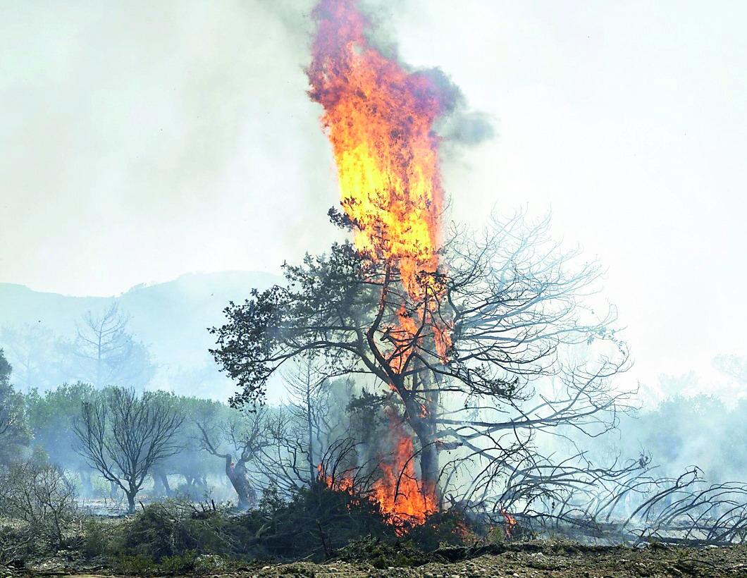 Allarme incendi in Gallura: Caprera e Liscia Ruja off limits nei giorni di allerta