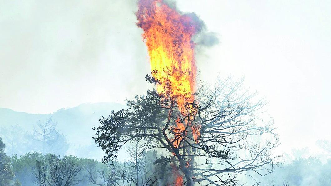 Allarme incendi in Gallura: Caprera e Liscia Ruja off limits nei giorni di allerta