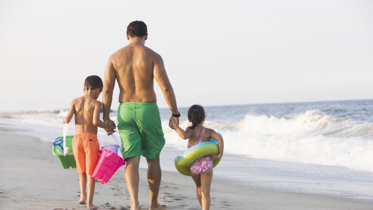 Sei regole per rispettare spiagge e creature marine