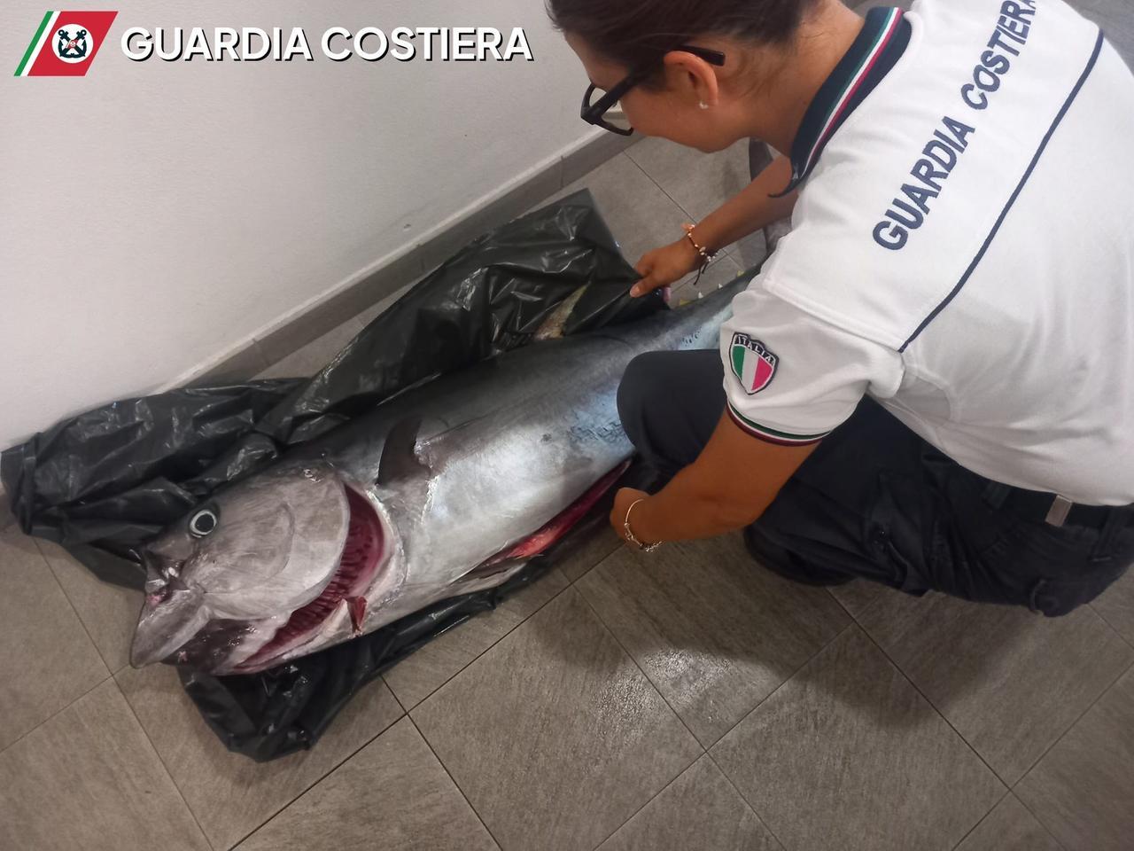 Piombino, pesca illegale: sequestrate nasse abusive ed esemplari di tonno rosso