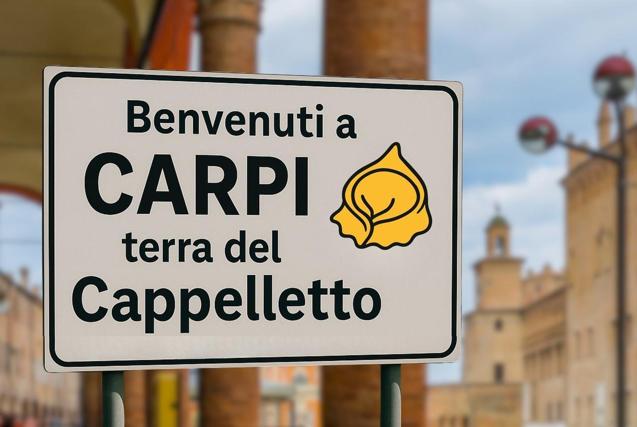 
	La vignetta pubblicata sui social dal Comune di Carpi

