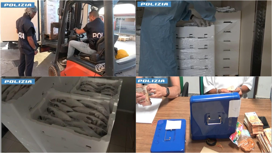 200 chili di pesce spariti dall’azienda ittica: la polizia ritrova il bottino e 360 mila euro
