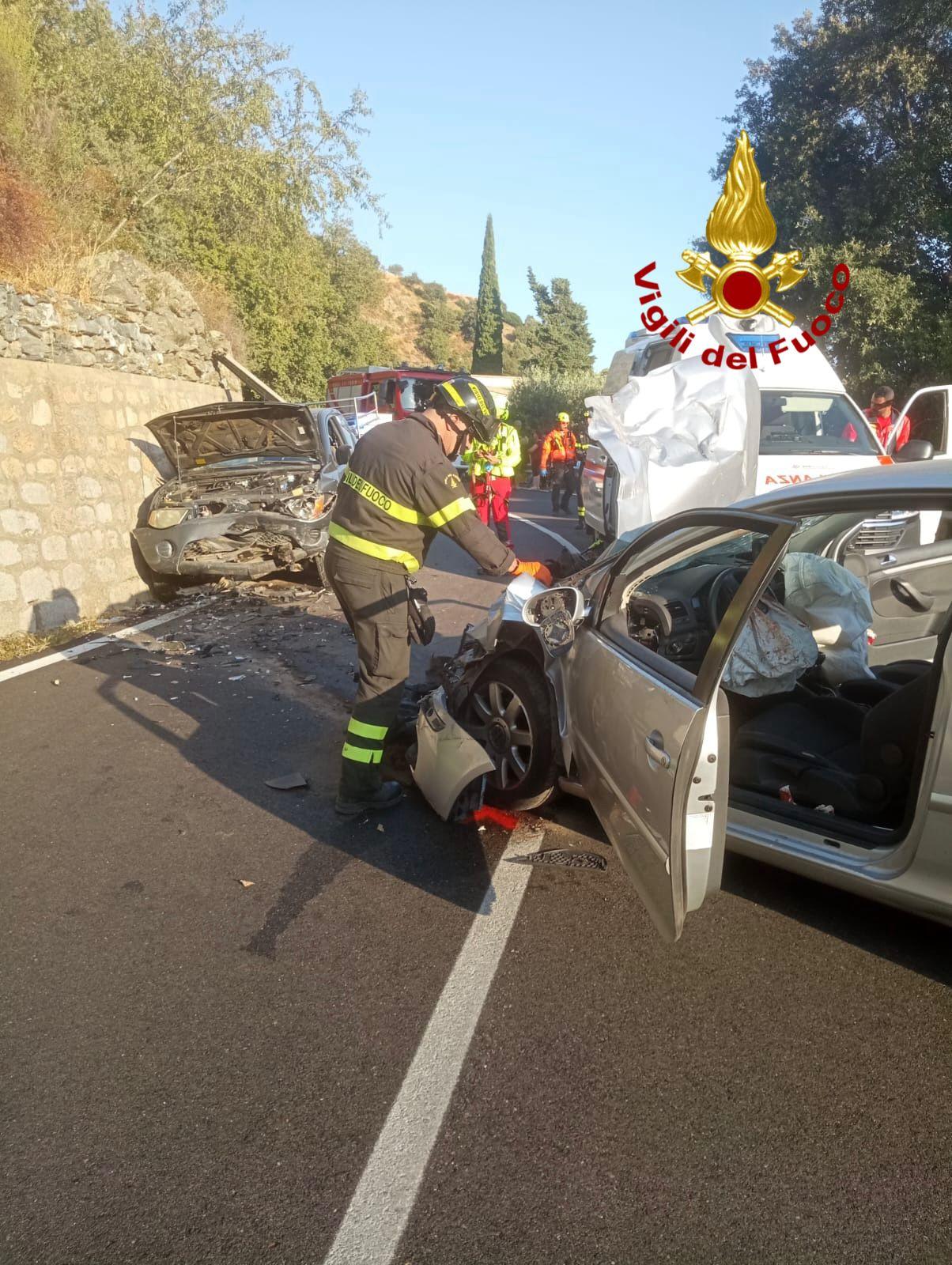 
	I Vigili del fuoco al lavoro sul luogo dell'incidente

