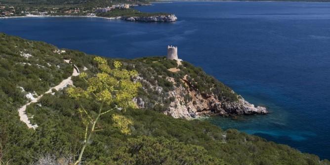 Divieto di balneazione a Porto Conte-Sant’Imbenia