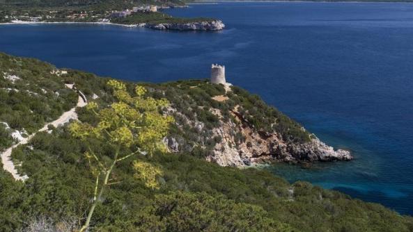 Divieto di balneazione a Porto Conte-Sant’Imbenia