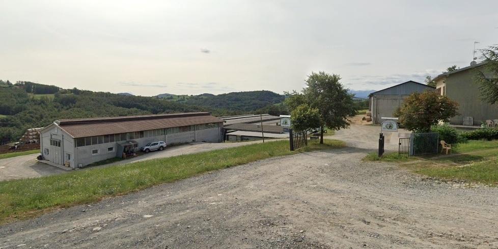 
	L'allevamento a Selva di Serramazzoni

