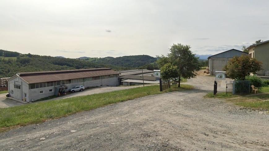 L'allevamento a Selva di Serramazzoni