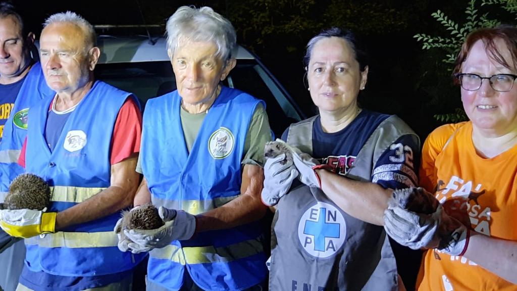 Nella zona del Bosco Ospizio i volontari in cerca di animali: «Trovati sette ricci e qualche rana»