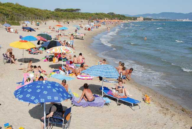 
	La spiaggia di Carbonifera (foto Barlettani 2009)

