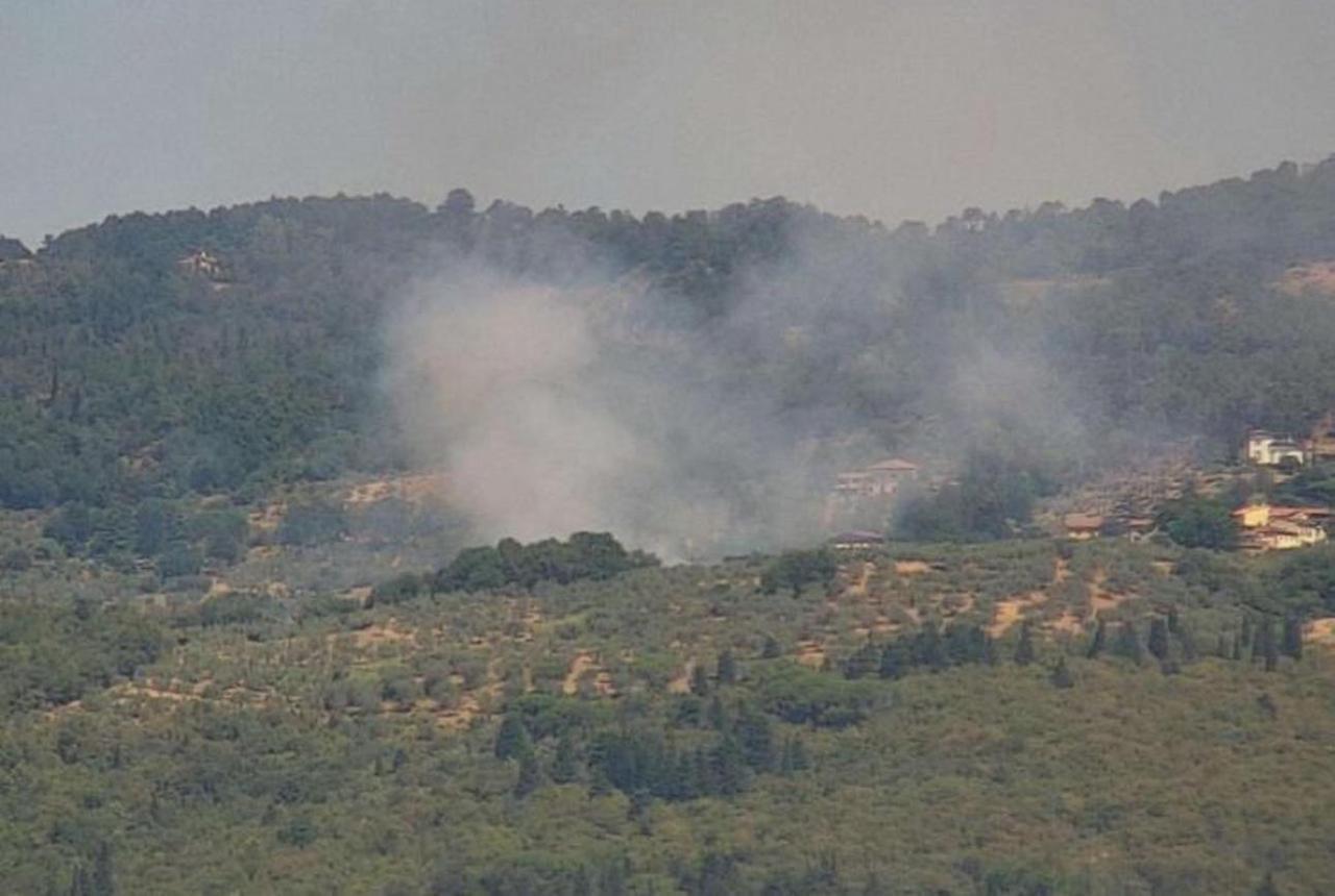 
	L'incendio dell'oliveta a Cerreto

