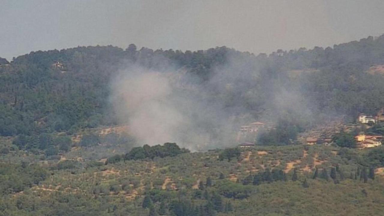 L'incendio dell'oliveta a Cerreto