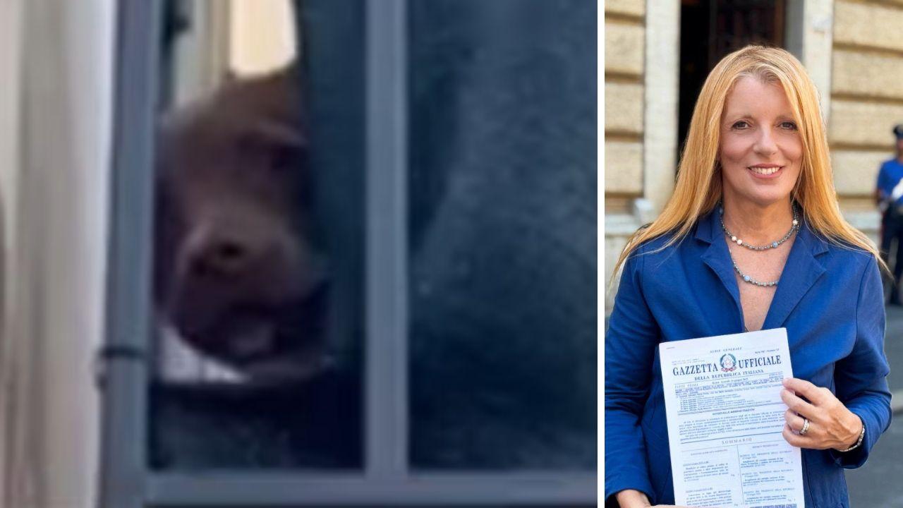 Michela Vittoria Brambila