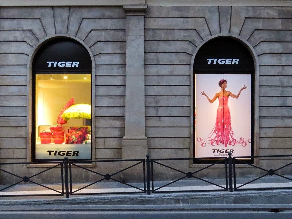 Il negozio "Tiger" di via Cairoli, in centro
