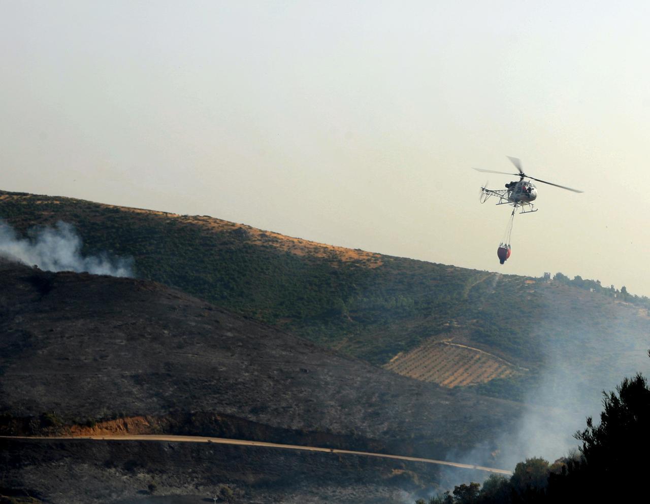 
	Un incendio in Sardegna in una foto di archivio

