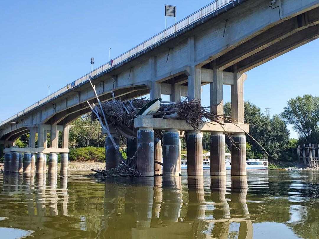 Cataste di legna e persino una barca tra i piloni del ponte del Po a Boretto