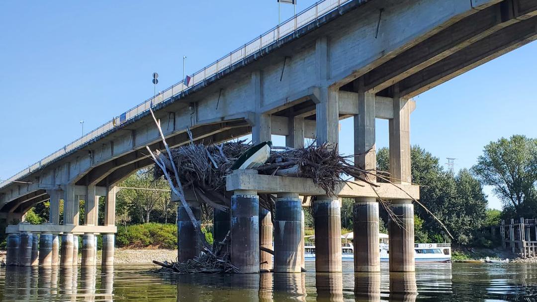 Cataste di legna e persino una barca tra i piloni del ponte del Po a Boretto