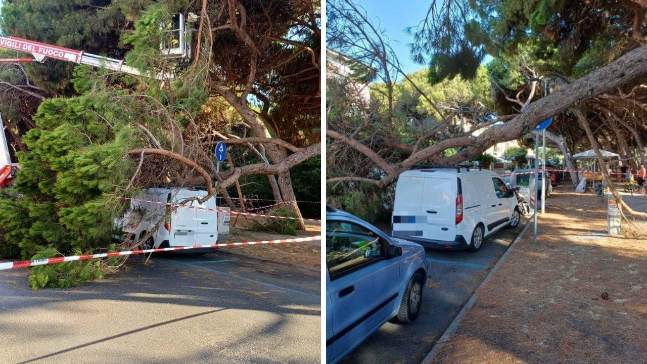 Il furgone colpito da un maxi ramo