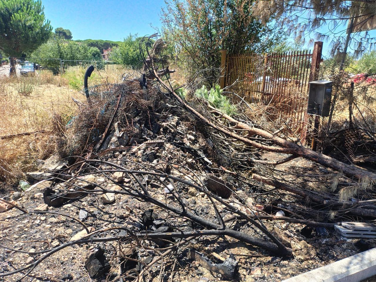 
	Parte della vegetazione bruciata


