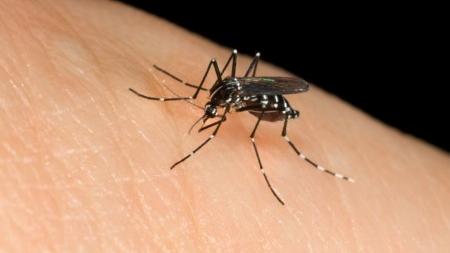 Febbre del Nilo, secondo contagio e secondo ricovero