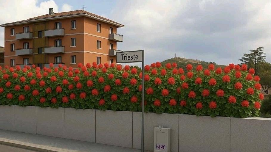 La simulazione della barriera di fiori richiesta dai commercianti in via Trieste