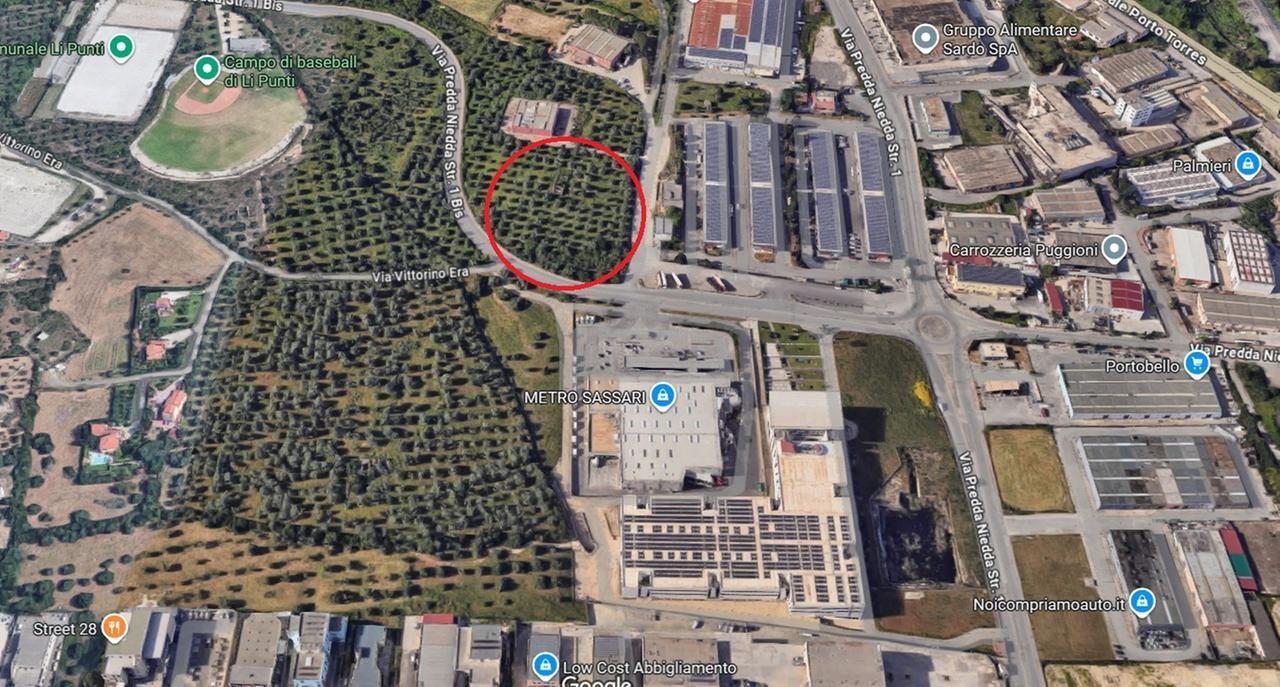 Un discount nell’uliveto: presentato il piano attuativo a Predda Niedda