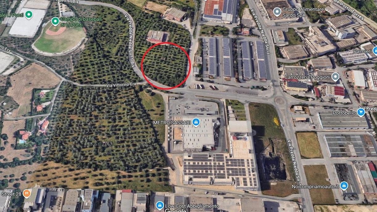 Un discount nell’uliveto: presentato il piano attuativo a Predda Niedda