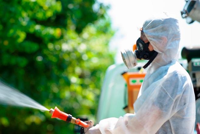 Chikungunya, salgono a sei i casi in provincia di Modena: cosa c’è da sapere