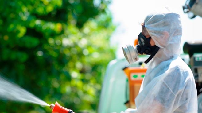 Chikungunya, salgono a sei i casi in provincia di Modena: cosa c’è da sapere
