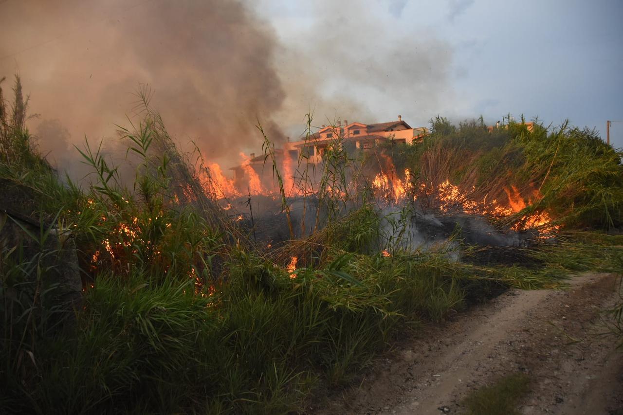
	L'incendio scoppiato nella zona sud di Grosseto (foto Agenzia Bf)

