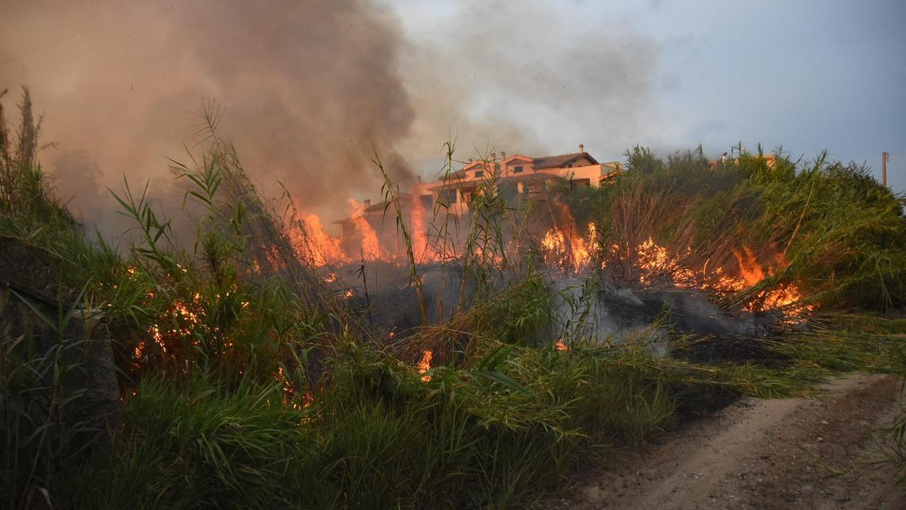 L'incendio scoppiato nella zona sud di Grosseto (foto Agenzia Bf)