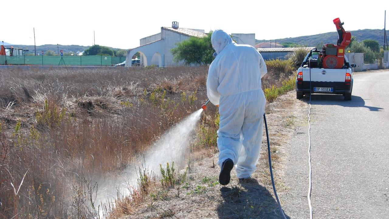 Febbre del Nilo, anziano di Villaurbana positivo al virus