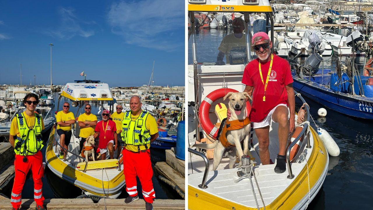 Ferragosto sicuro a Livorno, a vegliare sui bagnanti c’è l’unità cinofila Rio