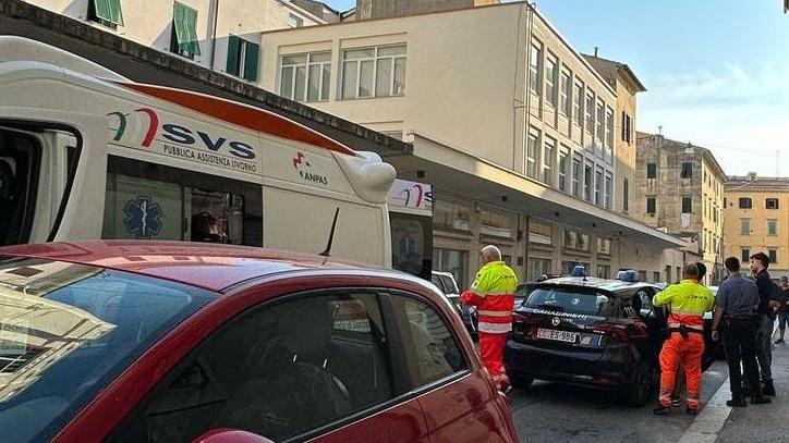 L'intervento dei carabinieri e della Svs 