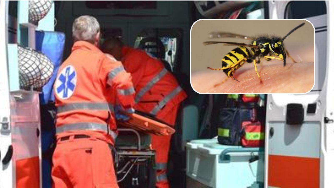 Choc anafilattico da puntura d’insetto, c’è un’altra vittima: ecco i casi, dalla Sardegna alle Marche