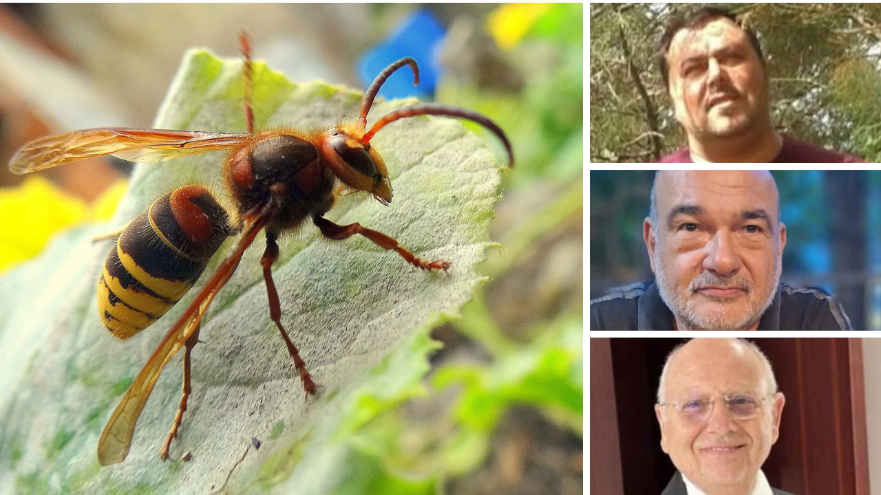 
	A destra dall'alto: Davide Mameli, Alessandro Bologna ed Emidio Leonetti&nbsp;

