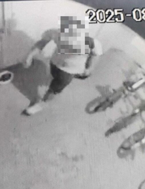 Ferrara, cerca di razziare le cantine all’ora di cena