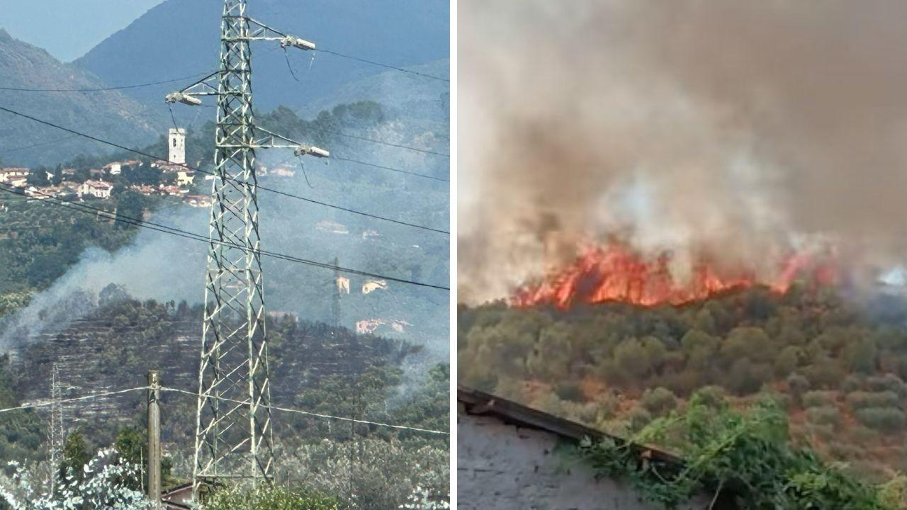 Massarosa, incendio a Piano di Conca sotto controllo: le fiamme devastano oliveti e vegetazione – Video