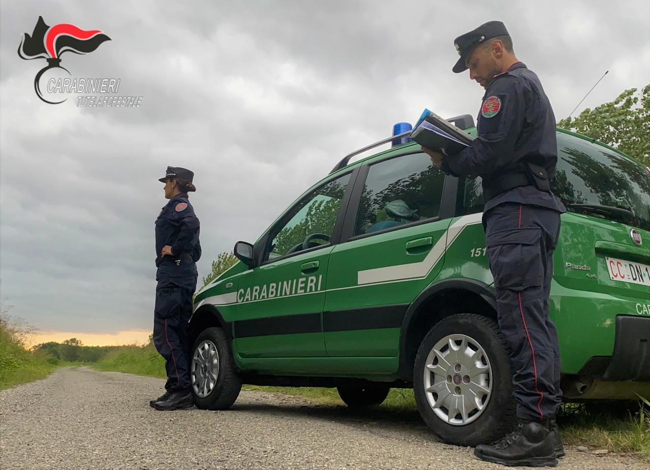 
	Una pattuglia dei carabinieri forestali (foto d'archivio)

